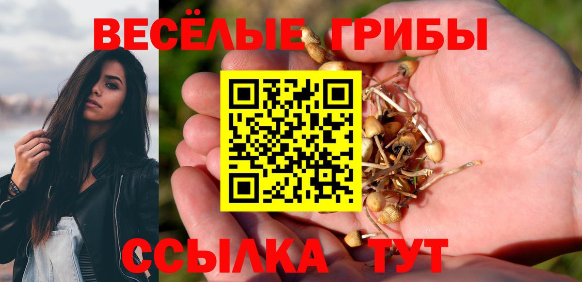 Трёхгорный  Псилоцибиновые грибы мухоморы  Вход с VPN 